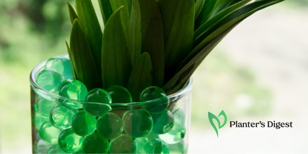 How to Use Water Beads for Plants A Comprehensive Guide