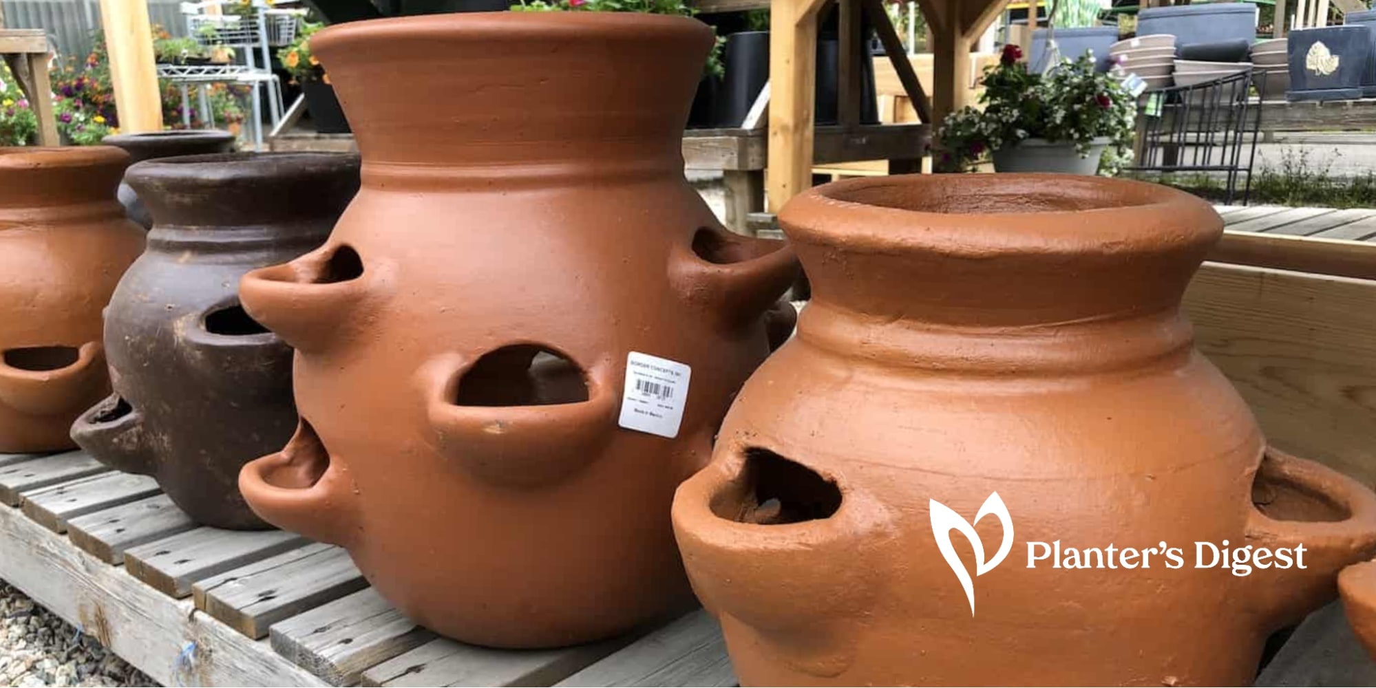 Terra Cotta Pots with Holes on the Side: Why are they there?