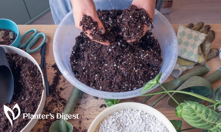 adding-sand-to-potting-mix-banner