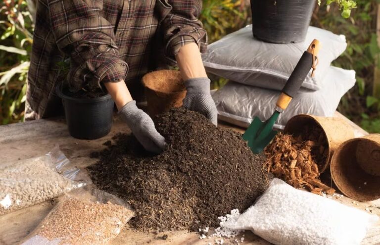 How Adding Sand to Potting Mix Boosted My Plant’s Health [2025]