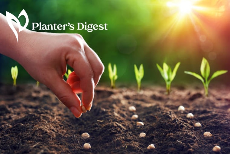 seed-germinations-time-and-temperature-banner