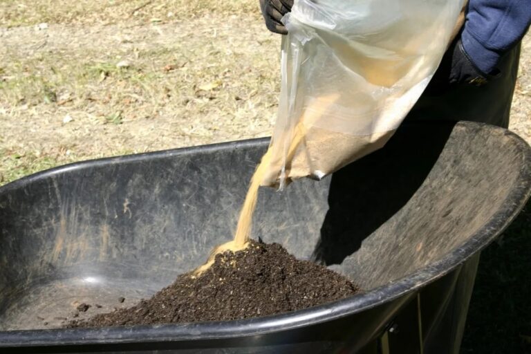 How Adding Sand to Potting Mix Boosted My Plant’s Health [2025]