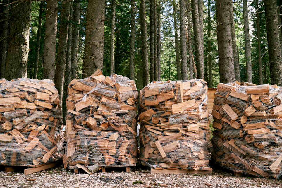 magnolia-compare-to-other-firewood