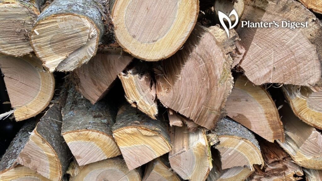 magnolia-firewood-banner
