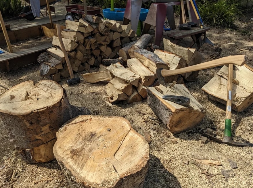 magnolia-firewood