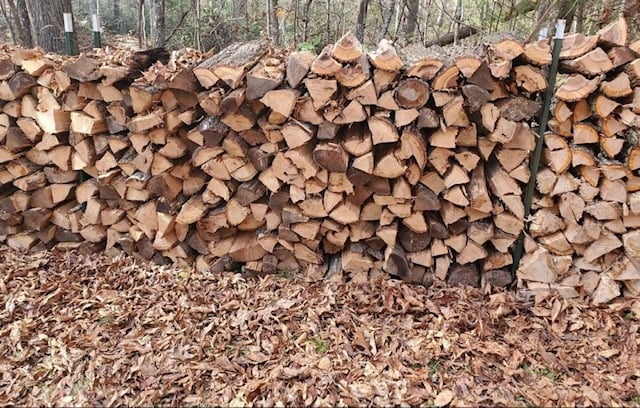 magnolia-wood-burning-properties