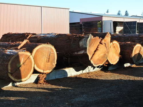 redwood-firewood-pros-and-cons