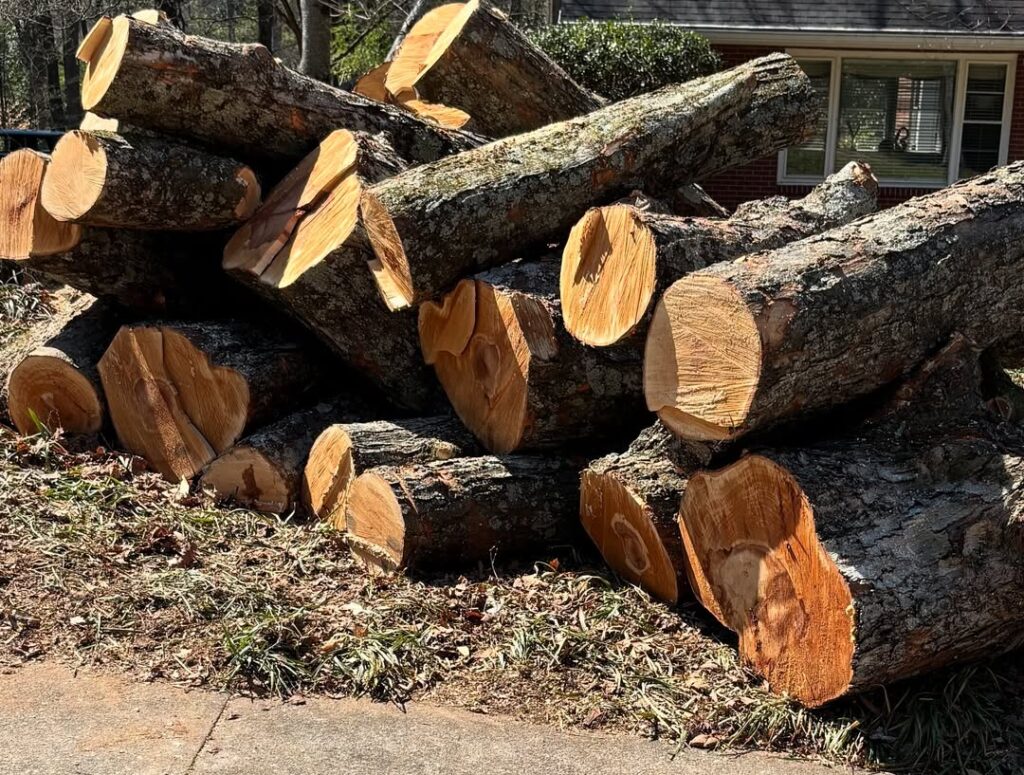 sugar-maple-as-firewood-pros-and-cons
